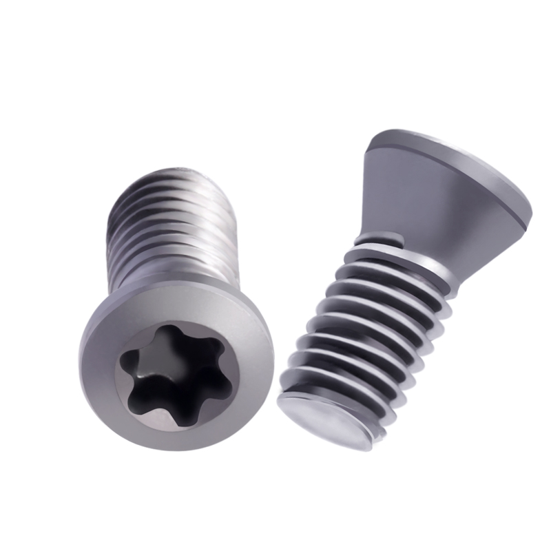 Original S 5513 020-55 Alloy Steel Torx Screw M2.0 5.5mm Length for Indexable Carbide Insert Fastening CNC Tools